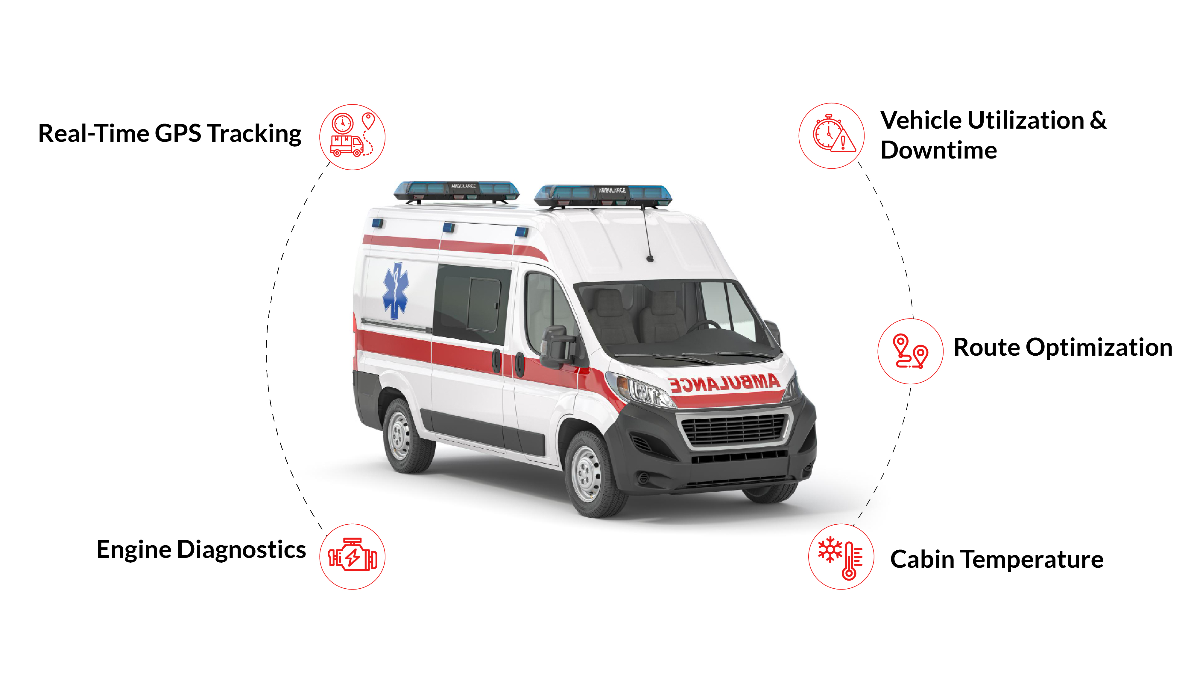 Medical & Healthcare